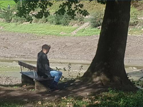 Eine kleine Meditation zum Thema: Ich seh‘ den Wald vor lauter Bäumen nicht.