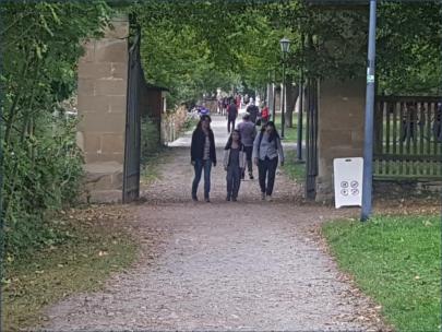 Zieleinlauf der Damen