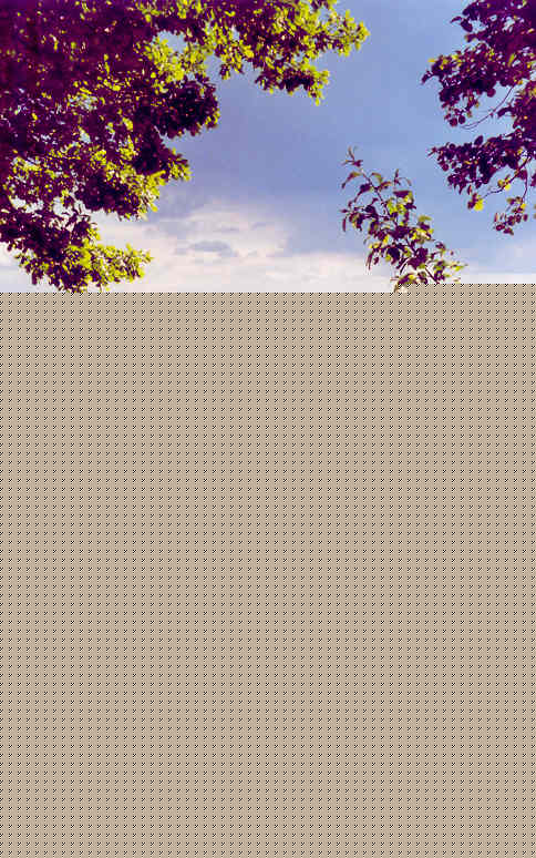 Was soll hier vertuscht werden?