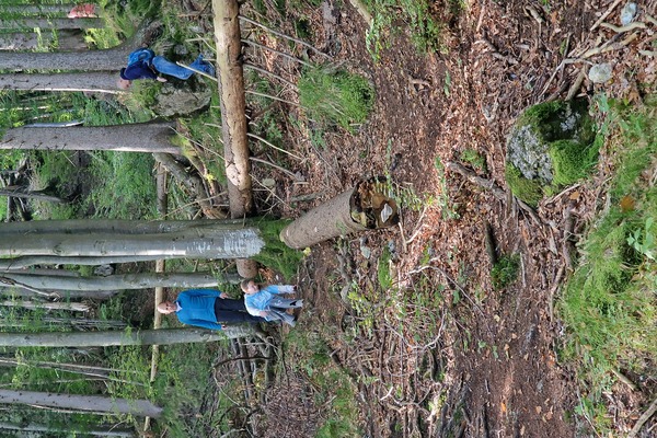 Gefährlicher Abstieg