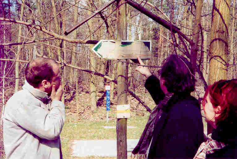 Wo geht es nur lang?