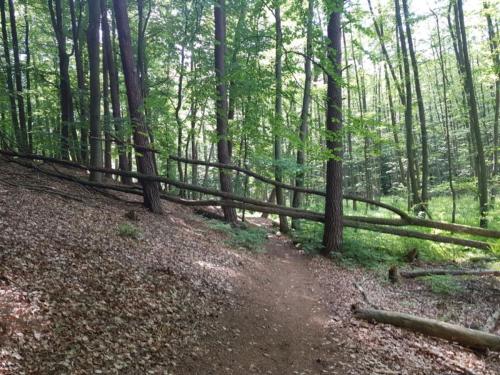 Wie kommen wir hier weiter?