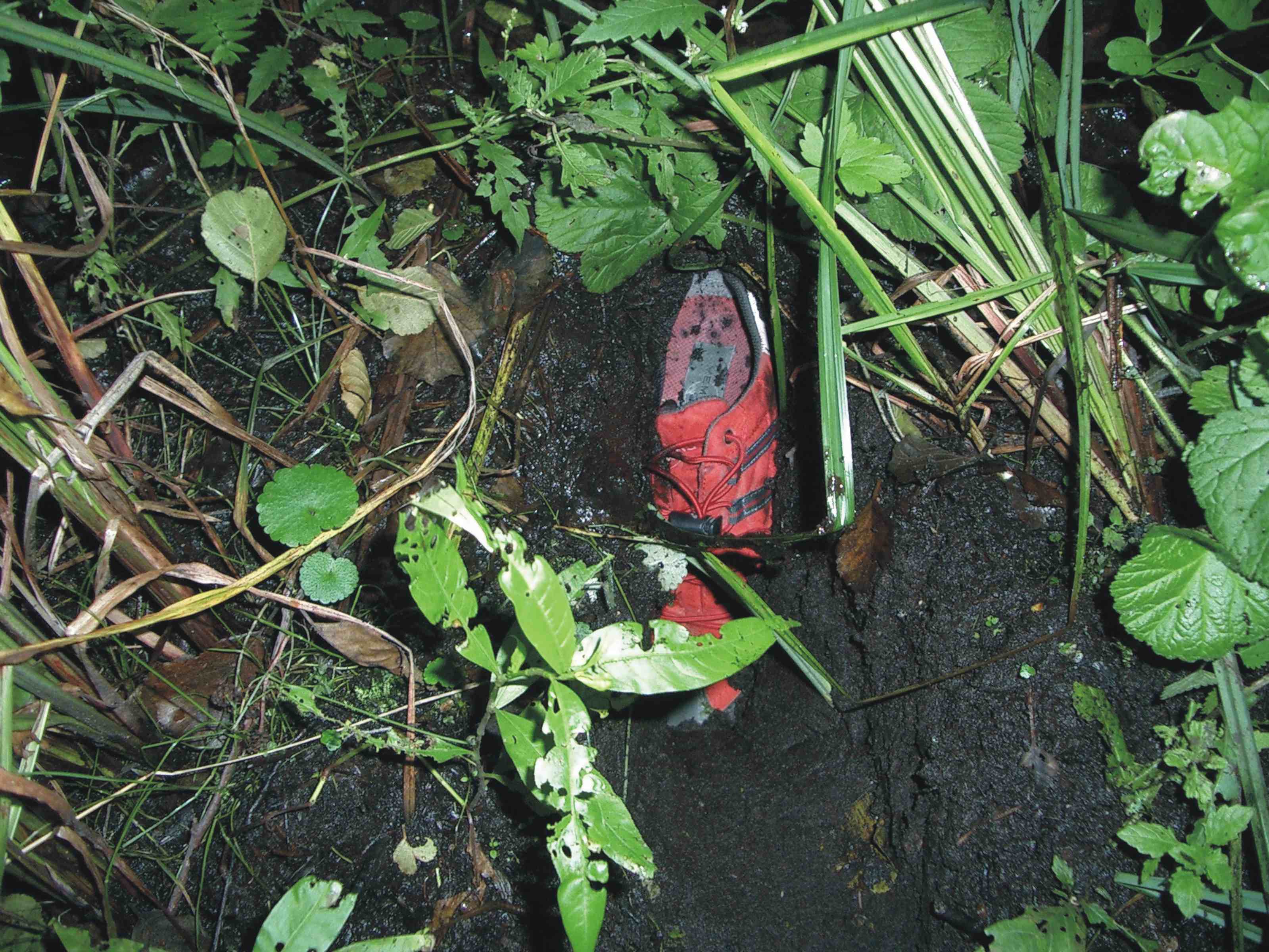 ULF rettet den Schuh