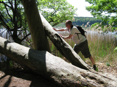 Statutenreiter tut sportlich