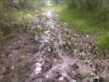Schlammige Wege