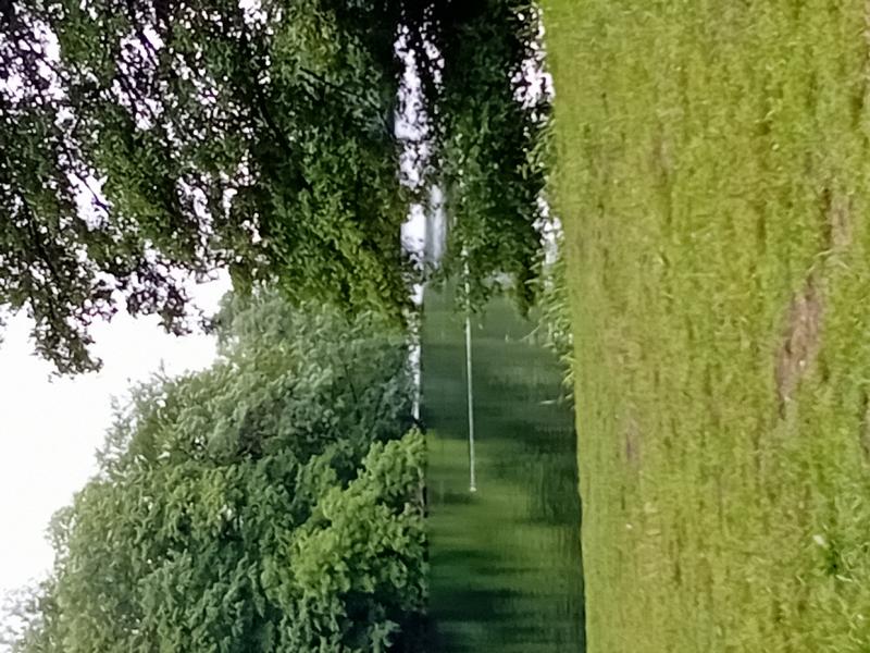 Am Ufer des Lankower Sees