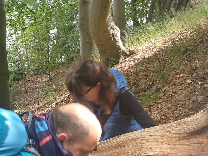 Gemeinsam meistern wir das Hindernis