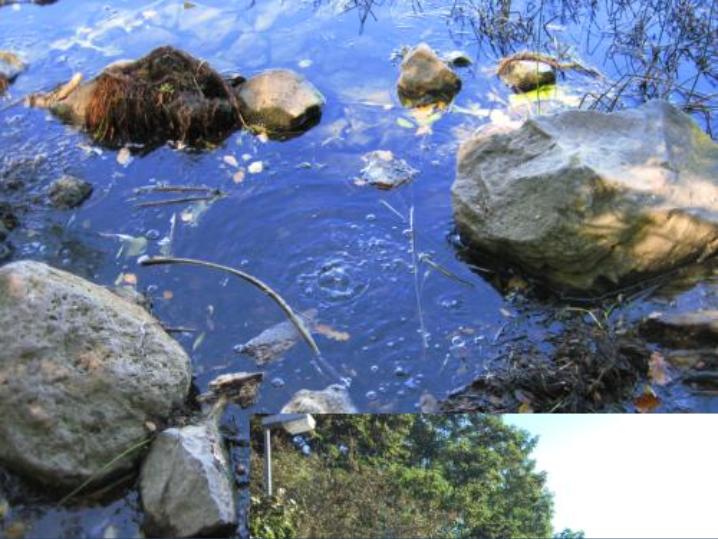 Der Laacher See blubbert