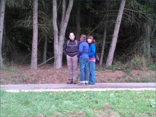 Die Laker stehen ratlos herum