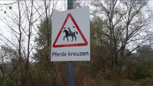Kreuzungen mit Pferden