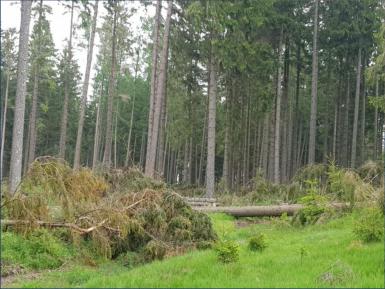 Zerstörung durch Orkane