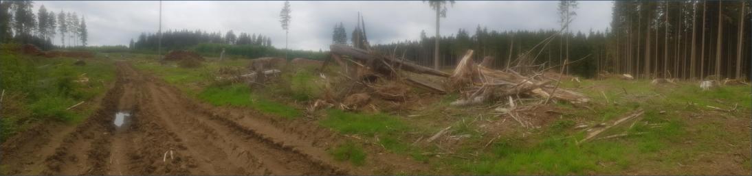 Zerstörung durch Orkane