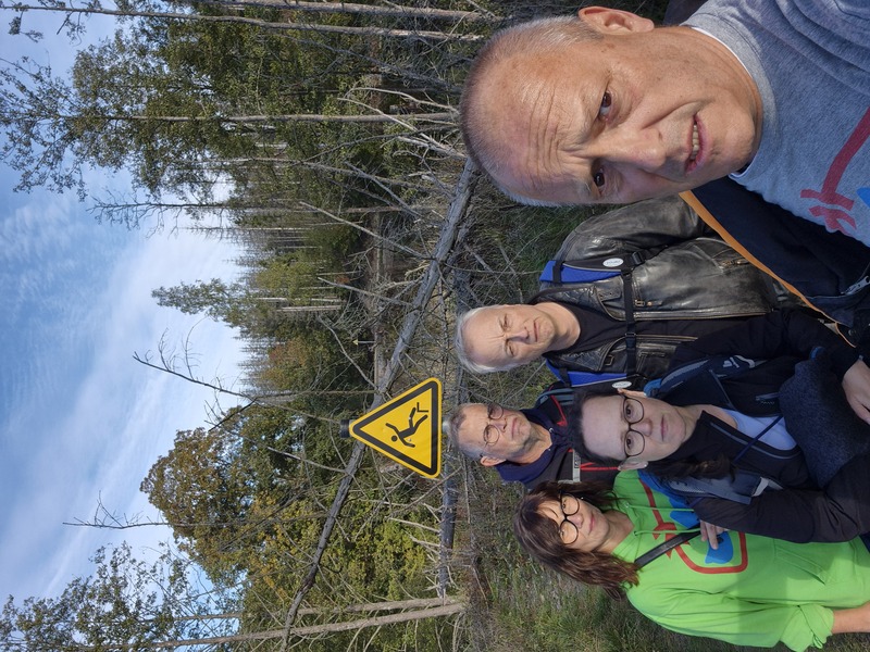 Sind sie hier abgestürzt?